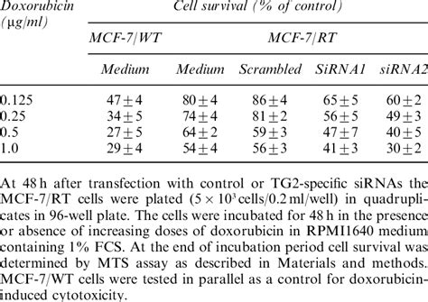 Effect Of TG2 Inhibition On Doxorubicin Induced Cytotoxi City Against