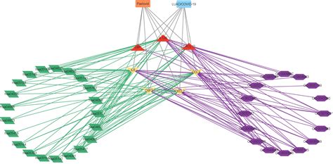 Frontiers Network Pharmacology And Bioinformatics Analysis Identifies