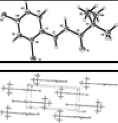 Packing Diagram Showing π π Stacking Interactions Download Scientific Diagram