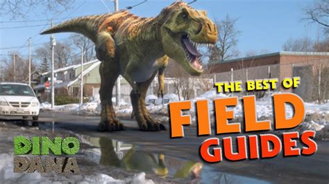 Best Of Dino Dan Treks Adventures And Dino Dana Field Guides Clip