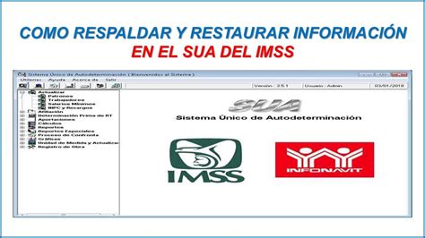 Como Respaldar Y Restaurar El Sua Del Imss Youtube