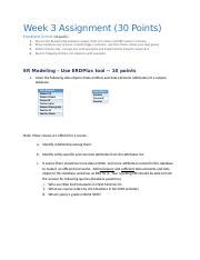 Assignment 3 Docx Week 3 Assignment 30 Points ENTERPRISE SYSTEM 20