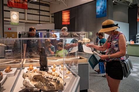 Science Up Close: Fantastic Fossils – Exhibits