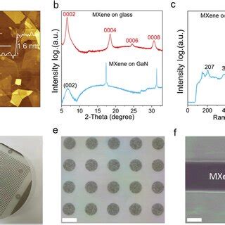 Crosssectional Stem Images Of The A Nialgan And B Mxenealgan