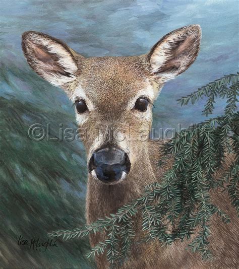 Painting Deer Eyes at PaintingValley.com | Explore collection of ...