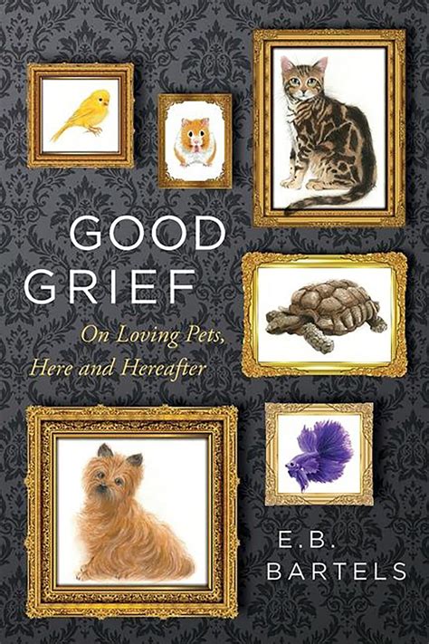 Why A Pets Death Hits So Hard Good Grief Explores Dealing With The