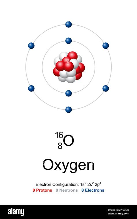 Oxygen Atom Model Of Oxygen With Protons Neutrons And