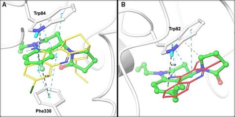 Novel Nallyl Propargyl Tetrahydroquinolines Synthesis Via Three