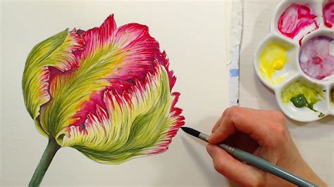 Live Parrot Tulip In Watercolor Pm Et Youtube