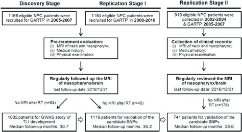 The flow diagram of the study design NPC ¼ nasopharyngeal carcinoma