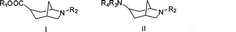 6 Azabicyclo 3 2 1 Nonane 3 Substituted Derivative And Preparation