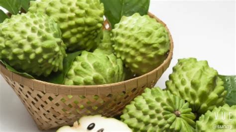 Super Food Of Graviola Soursop Fruit Extract Powder - Buy Graviola Soursop Fruit Powder,Graviola ...