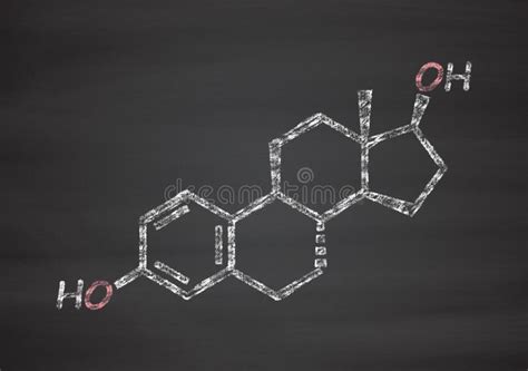 Estradiol Estrogen Female Sex Hormone Molecule Skeletal Formula Stock