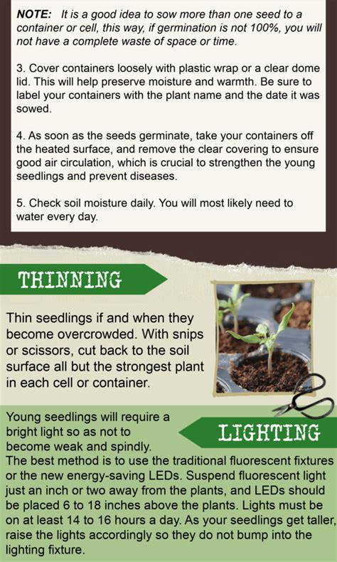 Seed Starting Tips Herbeins Garden Center