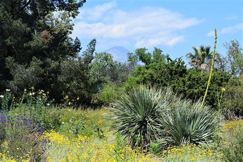 Claremont Botanical Gardens Hours – Beautiful Flower Arrangements and ...