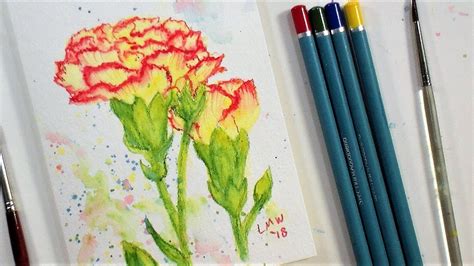 Carnation Flower Real Time Beginner Watercolor Pencil Tutorial Only 4