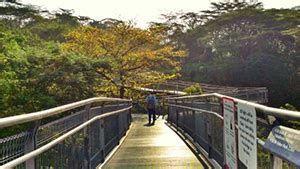 Telok Blangah Hill Park