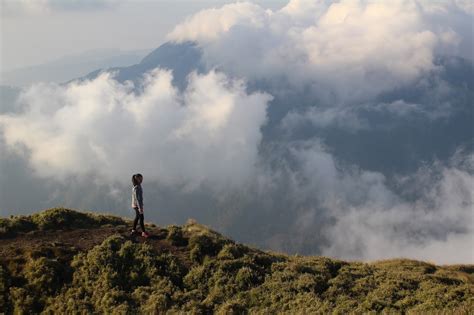 Mount Pulag: Sea of Clouds (Summit hike) – time was away and somewhere else