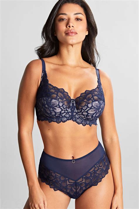 Panache Lingerie Allure High Waisted Brief Navy Lace Lingerie