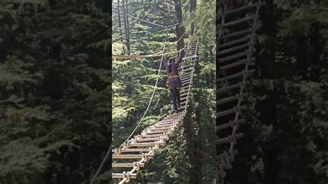 Kufri Adventure Activities Shimla Burma Bridge Bridge Jumping