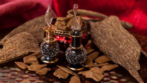 What Does Oud Smell Like 5 Best Perfumes To Try Everfumed