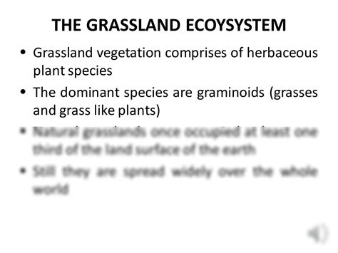 SOLUTION: What is a Terrestrial Ecosystem?|Definition, Examples & Types ...