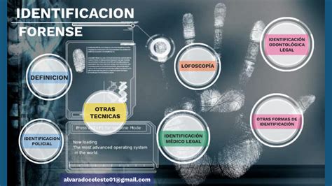 IDENTIFICACIÓN FORENSE by Celeste Alvarado on Prezi