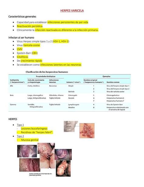 Herpes Y Varicela Christian Pesantez Udocz