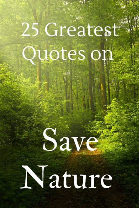 25 Greatest Quotes On Saving Nature