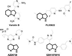 Microwave Assisted Synthesis Of Azaindoles Via Iron Catalyzed