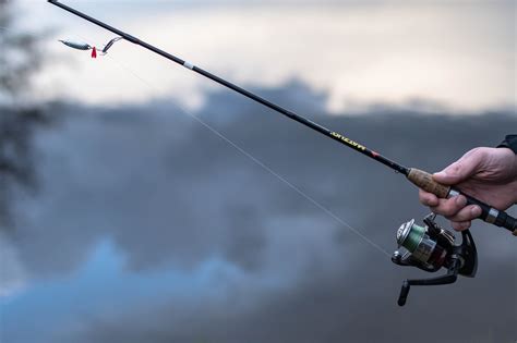 La Junta Presenta La Nueva Orden De Vedas De Pesca Y Aprueba El Decreto