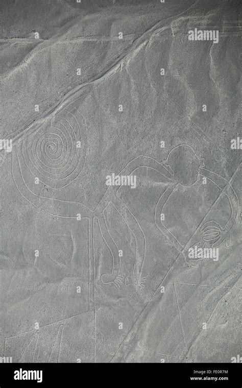 Vista Aérea De Las Líneas De Nazca Mono Geoglifo Perú Las Líneas