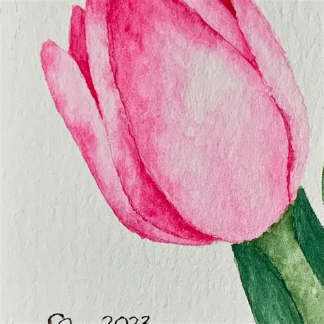 Fresh Tulips Original Watercolor Etsy