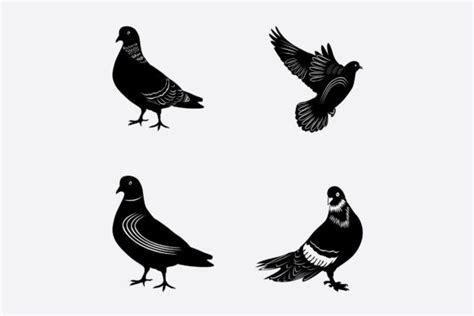 Pigeon Vector Graphic By Octopusgraphic · Creative Fabrica