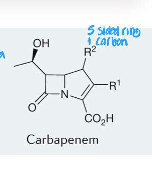 Carbapenems Monobactam Flashcards Quizlet