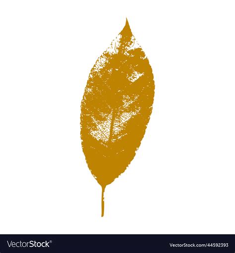 Autumn leaf tree brown fall season Royalty Free Vector Image