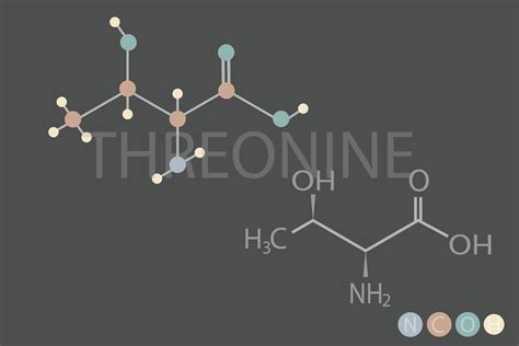 Threonine Molecular Skeletal Chemical Formula 42648528 Vector Art At