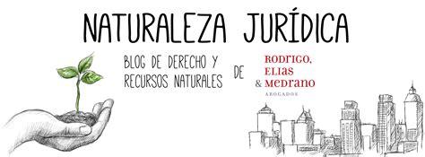 Naturaleza Jurídica Autor En Enfoque Derecho El Portal De Actualidad