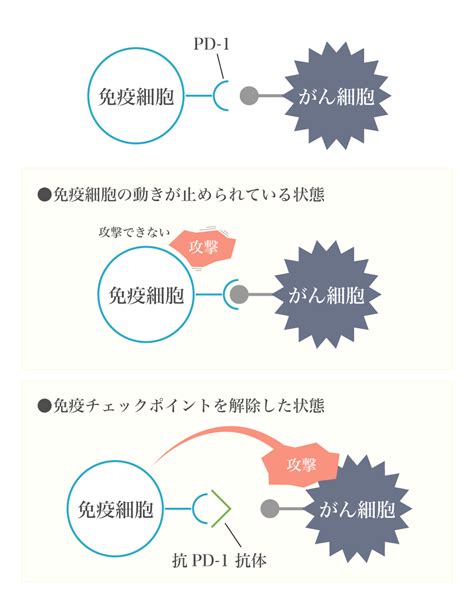 免疫チェックポイント阻害剤 プルミエールクリニック