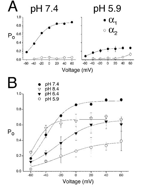 Modulation Of Single Kcnq Channel Open Probability By Extracellular