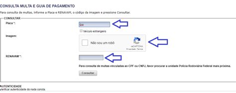 Consultar Multas Pela Placa E Renavam Do Ve Culo Como Fazer