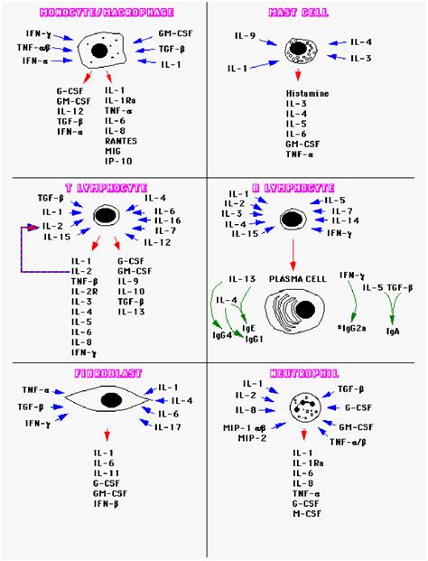 [PDF] Cytokines in acute and chronic inflammation. | Semantic Scholar