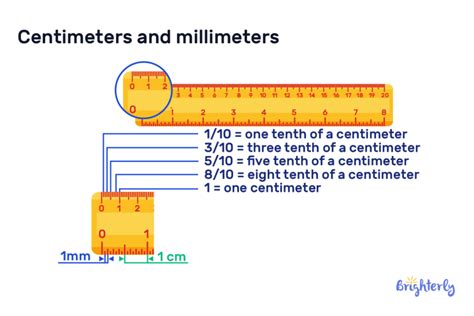 ruler definition  examples