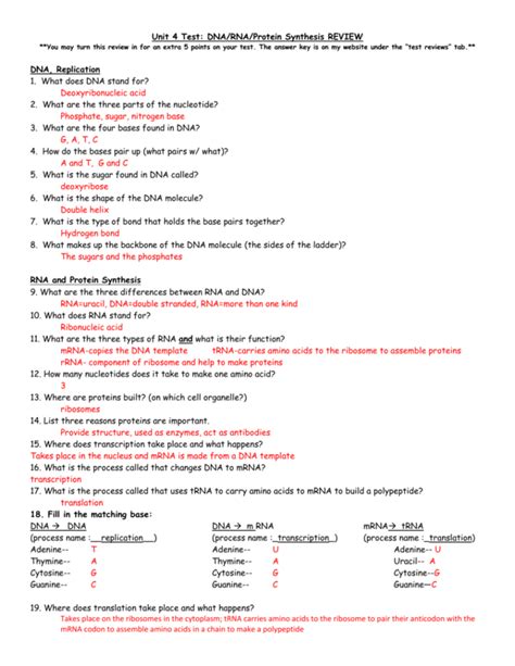 Worksheet On Dna Rna And Protein Synthesis Answer Key — db-excel.com