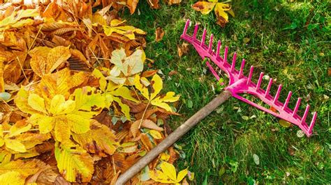 Autumn lawn care tips: how to get yours looking its best this season ...