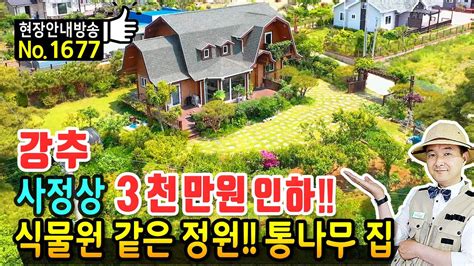 급매 사정상 3천만원 내립니다 전원주택 매매 급매물 통나무 집 건축에만 10개월 식물원 같은 정원과 정남향의 햇살 가득