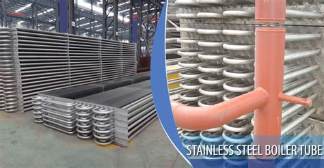 Stainless Steel Boiler Tube Ss Seamless Boiler Tubing