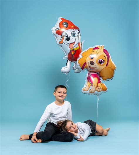 Karaloon Shop 1 Folienballon Paw Patrol Marshall 29 74 Cm