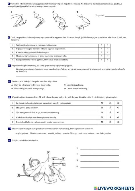 Klasa Stawonogi I Mi Czaki Worksheet English Tips Worksheets