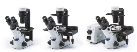 Ein fortschrittliches System für Zellkultur das Olympus CKX53